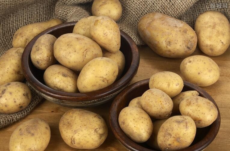 土豆最新价格行情动态更新