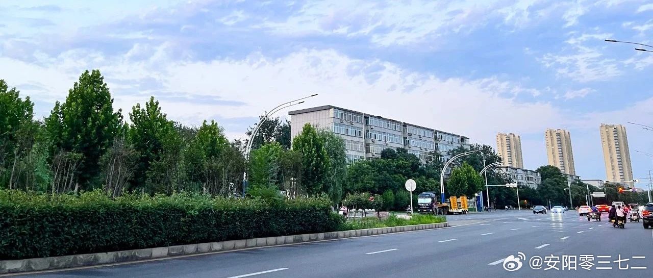 安阳最新新闻,城市角落的温馨日常