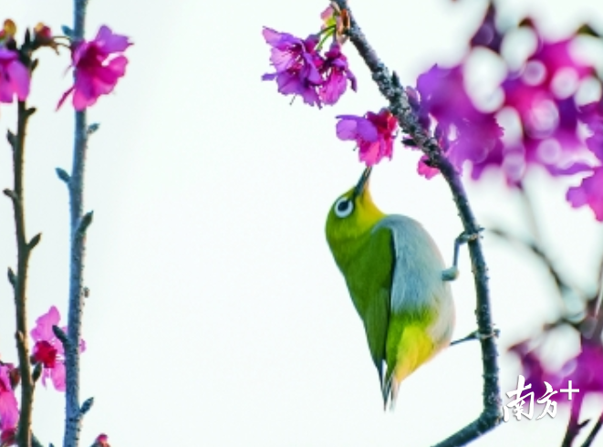 廉江最新招聘动态揭秘,探寻职业发展的热门机会