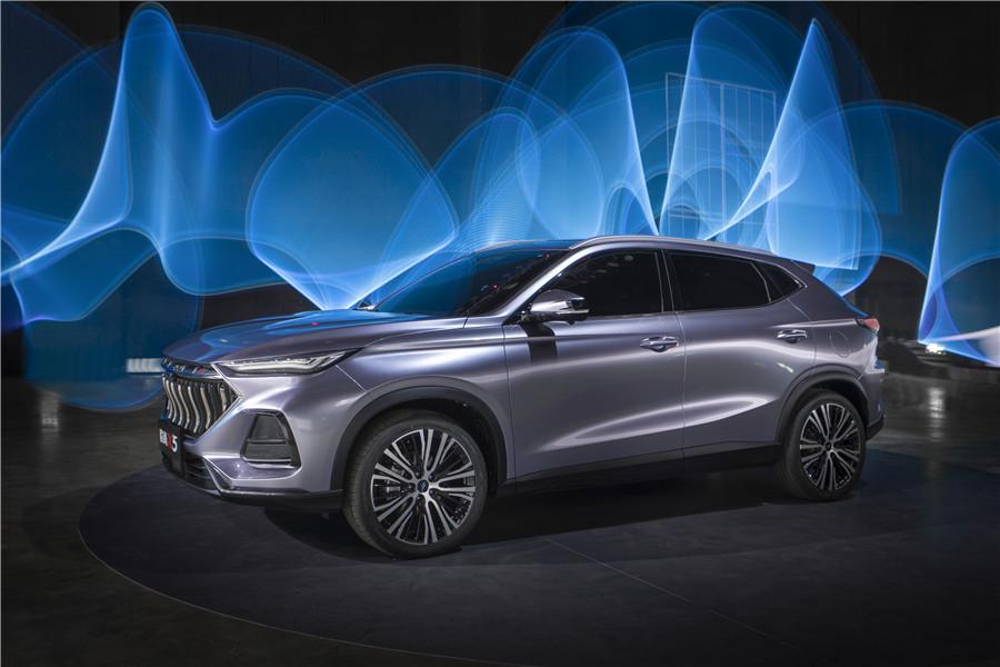 平原新区发展动态,机遇与挑战并存的观点分析