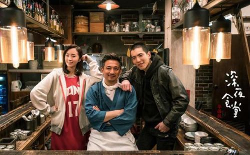 最新2017电视剧,小巷深处的隐藏瑰宝