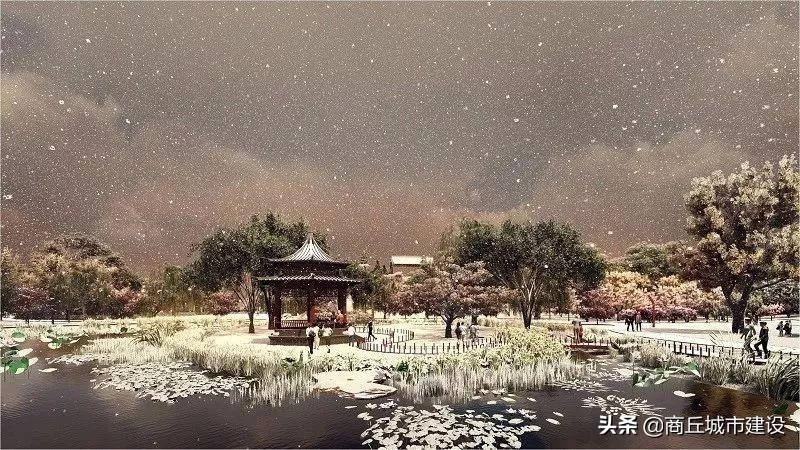 商丘最新新闻,多维视角的城市发展与观点碰撞