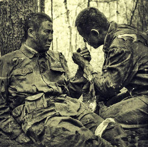 最新抗日电视剧大全,心灵与自然的双重旅行之旅