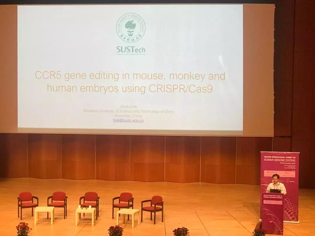 掌握伦理学核心原则与技能的最新指南,解读2017年伦理学前沿动态