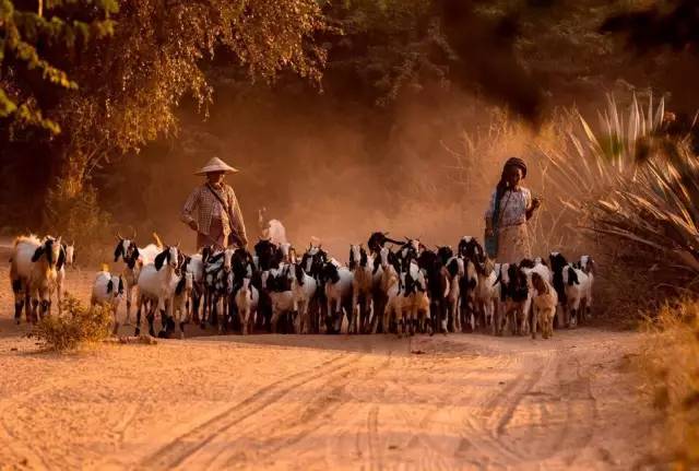 最新空战电影与探索自然美景之旅,内心的宁静与平和之旅