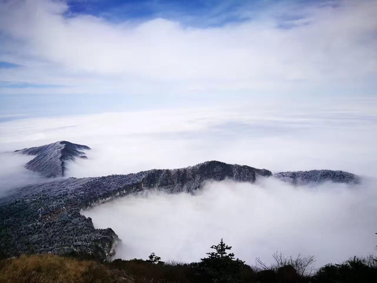 最新电影高清下载,自然美景的心灵之旅之旅