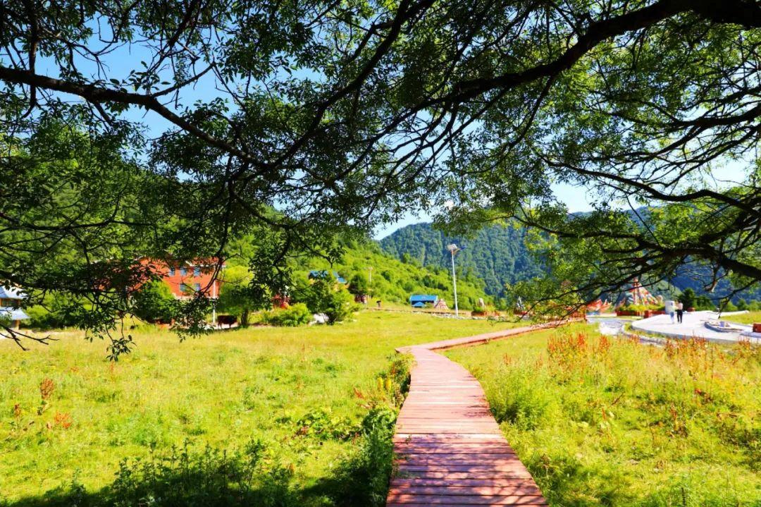 最新电影高清下载,自然美景的心灵之旅之旅