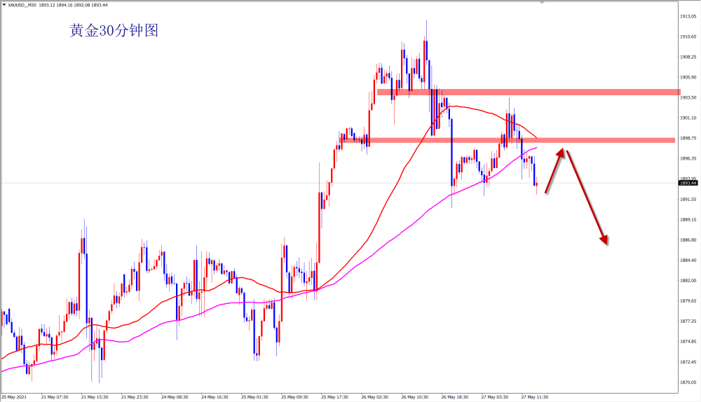 当归最新价格,市场走势分析与购买指南全解析