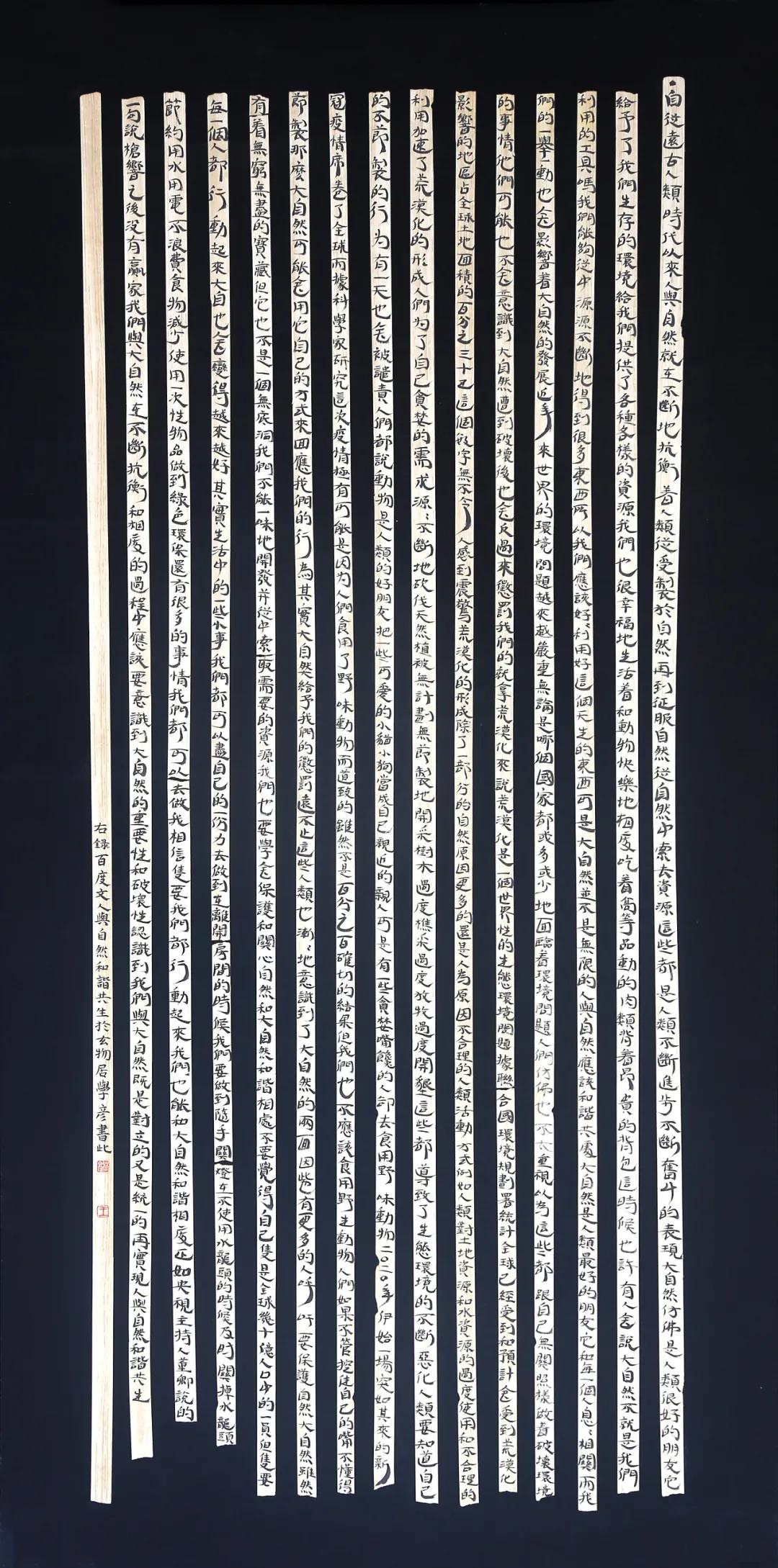 钱塘江最新动态,生态、经济与发展多维视角深度解读