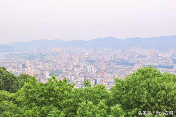 宜宾最新新闻,拥抱自然,心灵宁静之旅启程