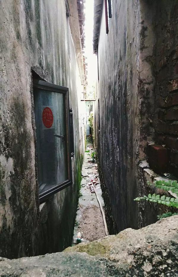 小巷深处的独特风情,最新腐化现象观察