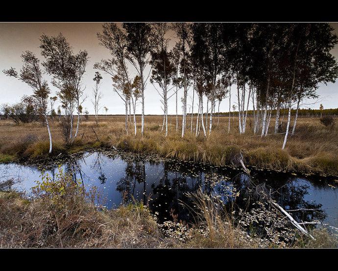 伊春最新信息网,城市信息的汇聚之地