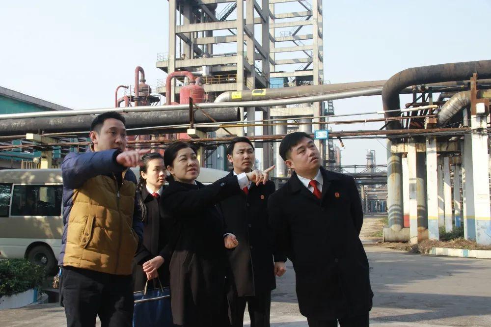 柳化股份最新动态深度分析与观点阐述