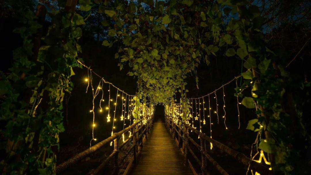 一起音乐吧最新,音乐与自然美景的治愈之旅