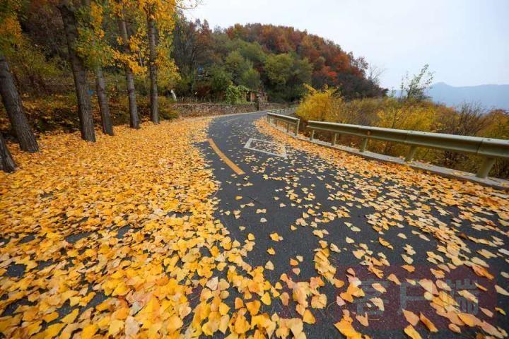 晋豫鲁铁路最新动态,温馨旅程的进展与消息更新
