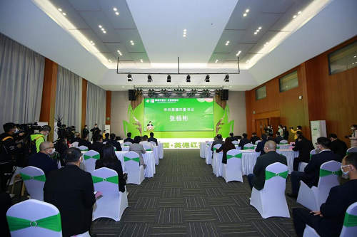 广东省英德市高科技产品引领未来,科技与生活完美融合的最新新闻