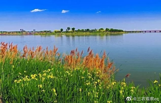 滹沱河自然美景探索之旅,最新风光尽收眼底