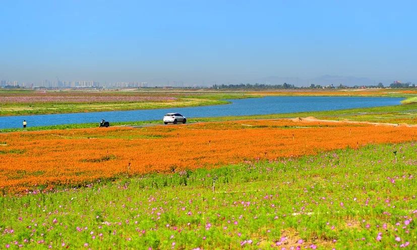 滹沱河自然美景探索之旅,最新风光尽收眼底