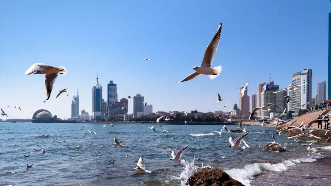 海鲜最新价格,时代变迁中的市场波动与趋势分析