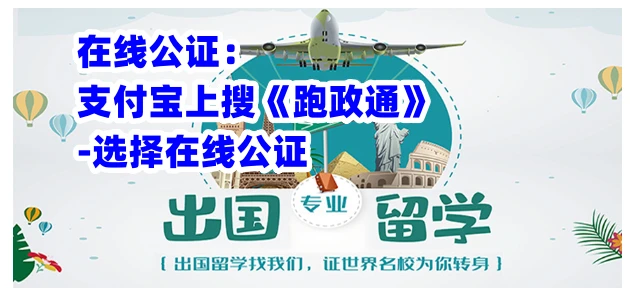 最新自学网,点亮学习之路,开启自信成就之门