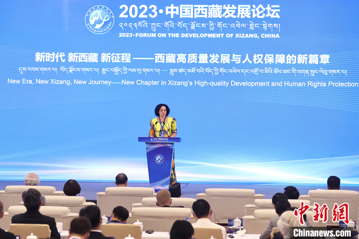 西藏最新新闻动态,揭开西藏崭新篇章的序幕