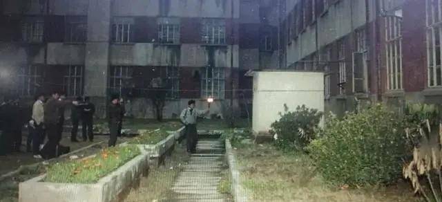 南大案最新进展,友情、爱与陪伴的温馨日常故事