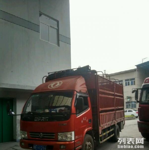 最新多利卡,温馨日常趣事分享