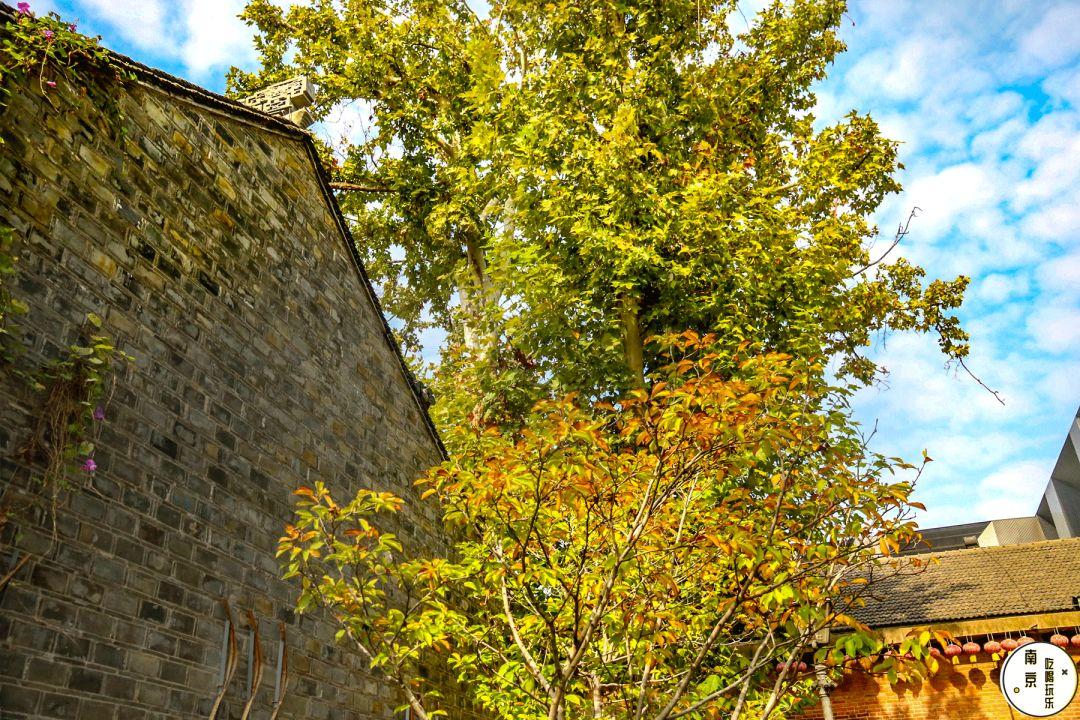 独特风味小吃,时代印记下的味蕾盛宴