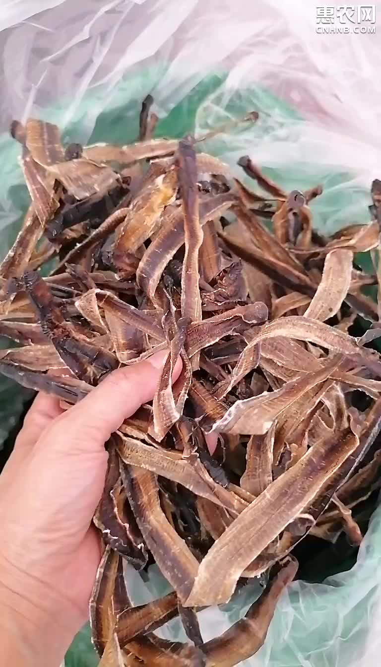 地龙最新价格,开启一场自然美景的探险之旅