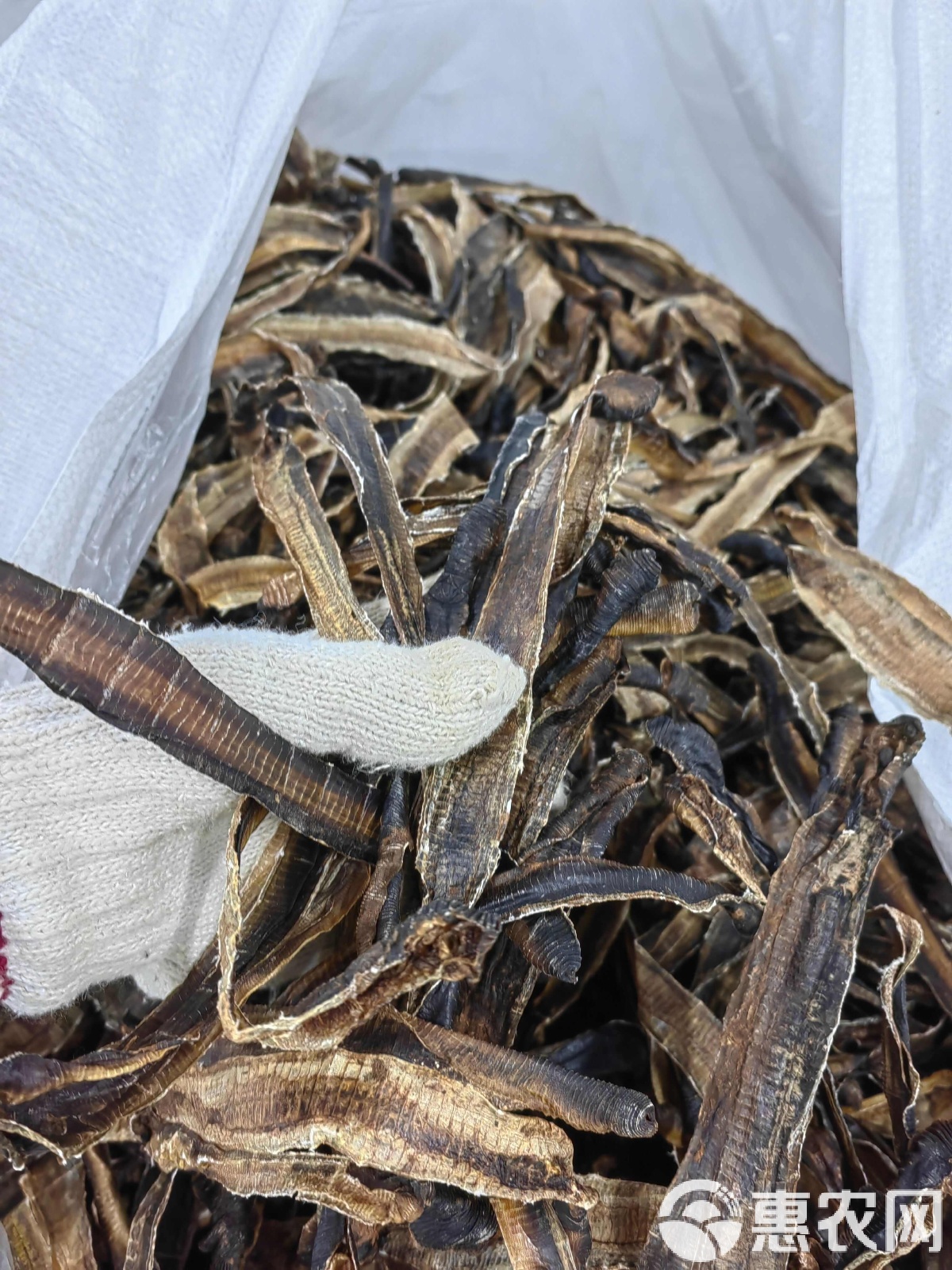 地龙最新价格,开启一场自然美景的探险之旅