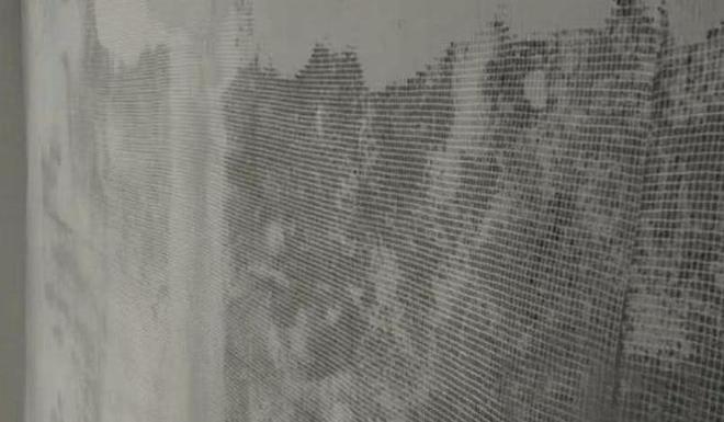 最新代挂网现象,深度探讨与观点阐述