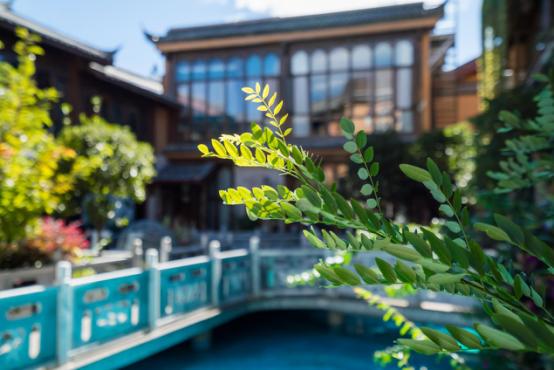 临沂最新租房,自然美景之旅与内心平静的探寻