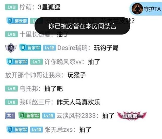 碧哥现象深度解析,最新动态及其影响