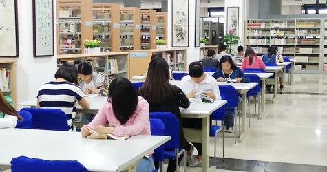 精英团队展示,共创辉煌新篇章