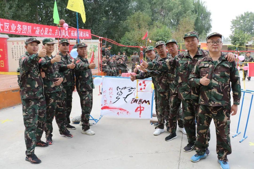 精英团队展示,共创辉煌新篇章