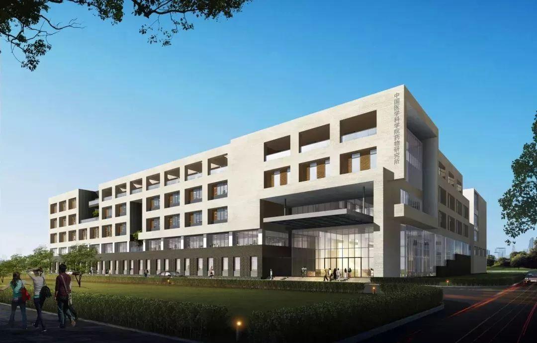 最新医学指南综述,引领医学发展的明灯✨