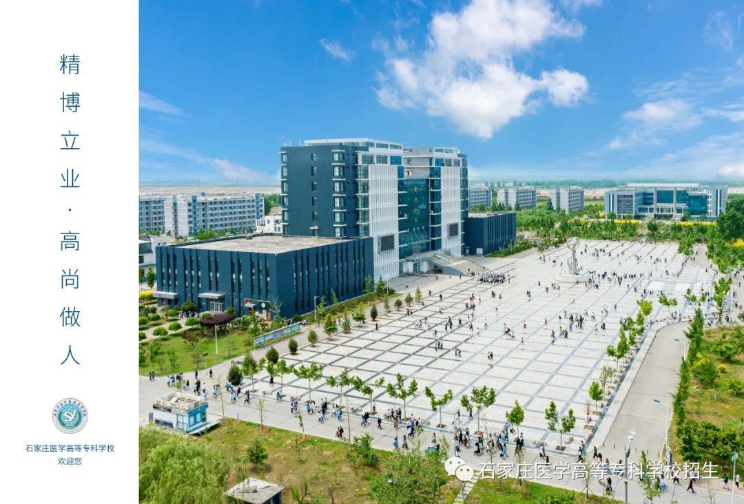 最新医学指南综述,引领医学发展的明灯✨