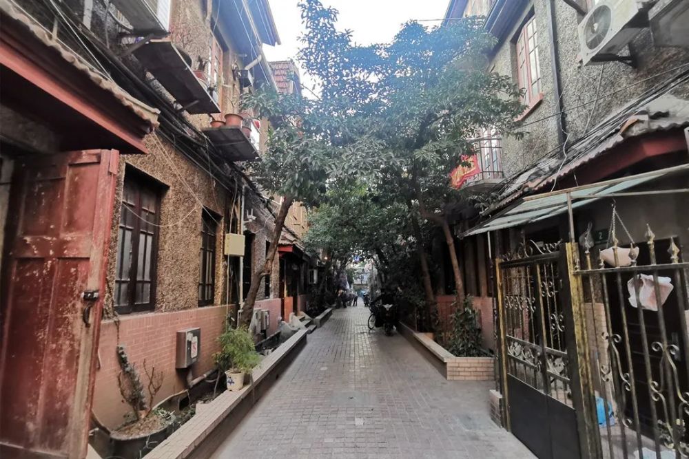 李白最新动态揭秘,小巷深处的诗意小店