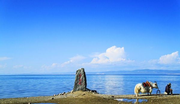 最新期税,自然美景的探索与心灵宁静之旅