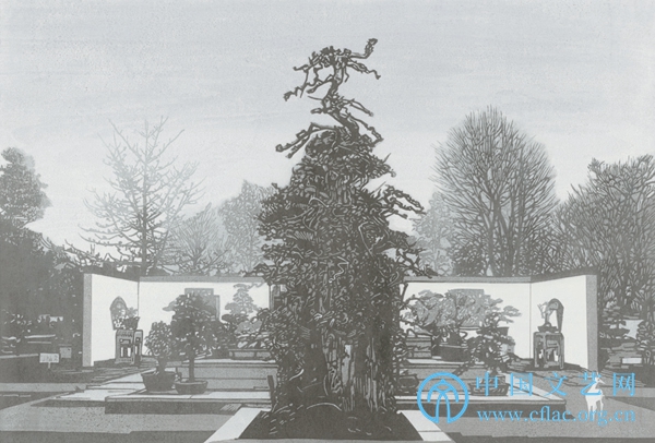 刚果最新动态与时代大潮下的新闻更新