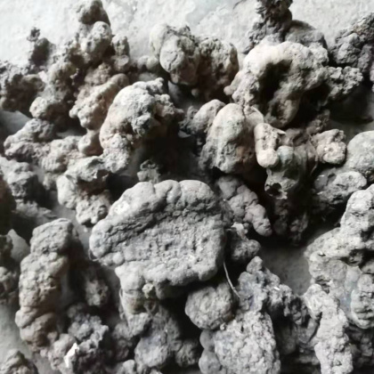 猪苓最新价格,科技与生活共舞的未来之选之选