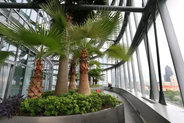 精灵花园中的奇妙之旅,小巷绿意与特色小店的邂逅