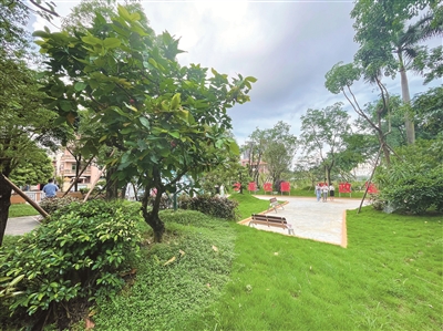 精灵花园中的奇妙之旅,小巷绿意与特色小店的邂逅