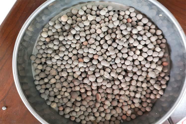 最新滤料,日常生活中的温馨之选