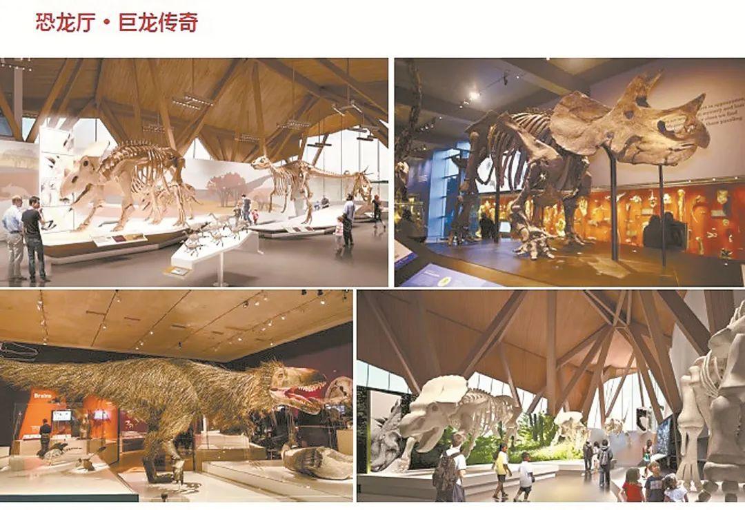 进化视频最新观点阐述