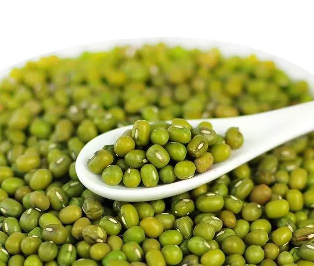 最新绿豆价格，时代印记与市场的波动影响
