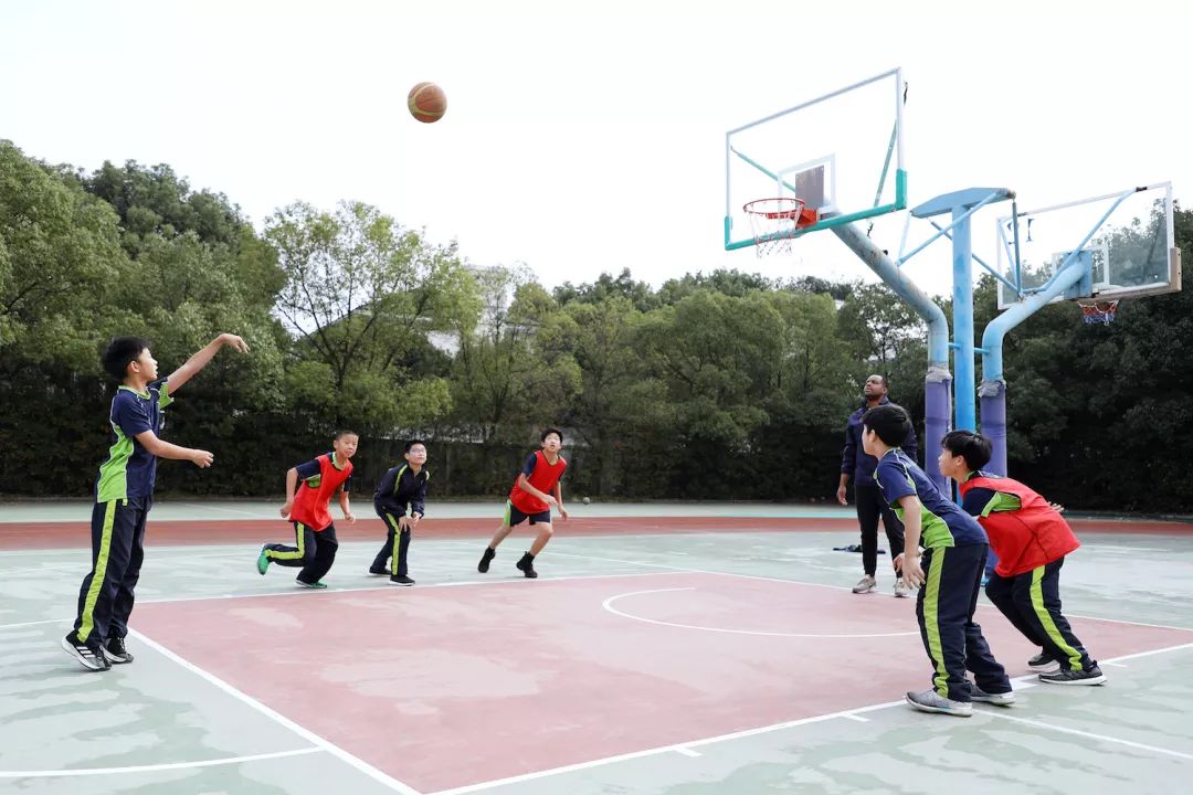 揭秘69pao最新动态,探索前沿资讯速递