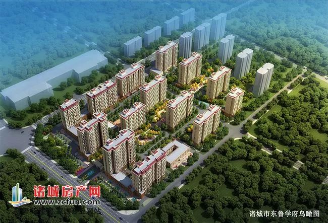 诸城最新房价动态及市场走势，热门区域、购房指南全解析