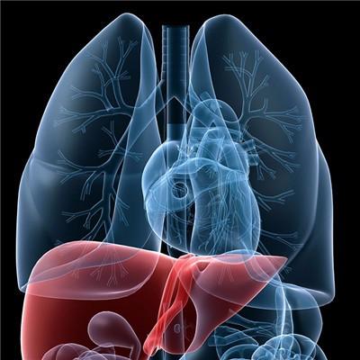 最新肝癌治疗方法,小巷深处的医学奇迹突破