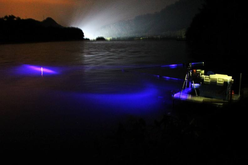 最新夜钓灯揭秘与探索✨